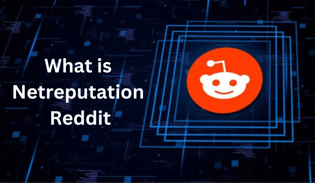 What is NetReputation Reddit?