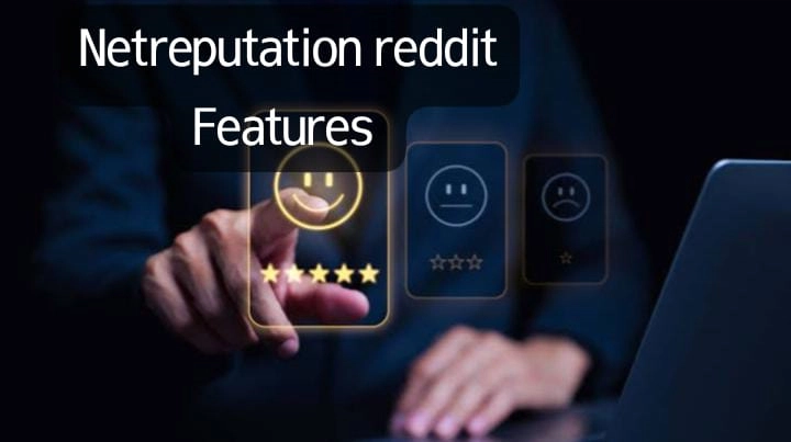 Features of NetReputation Reddit