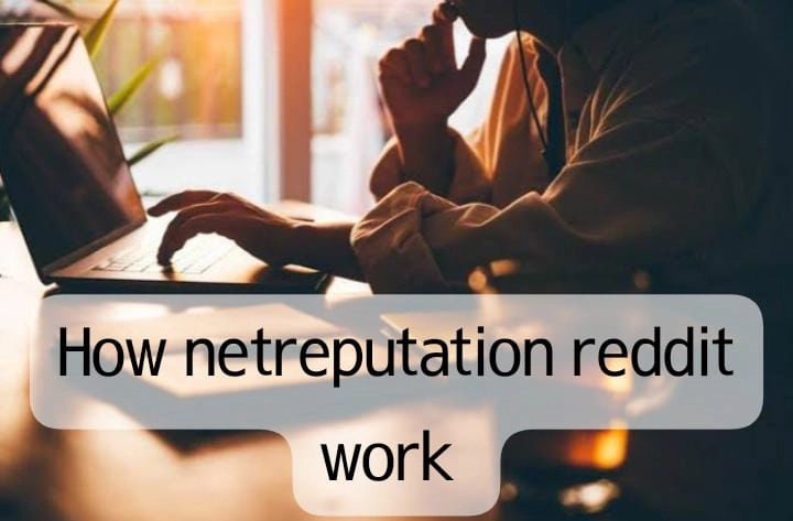 How NetReputation Reddit Work?