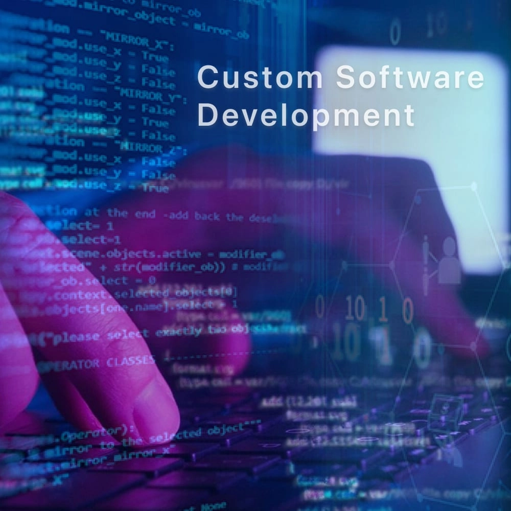 Custom Software Development of Desarrolladorsoft