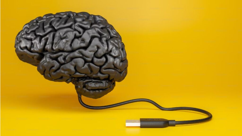 fmybrainsout